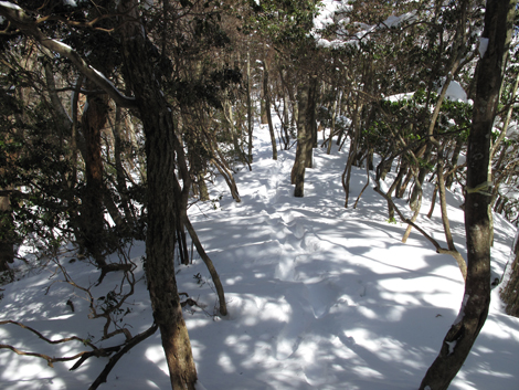 20140211hike (155)